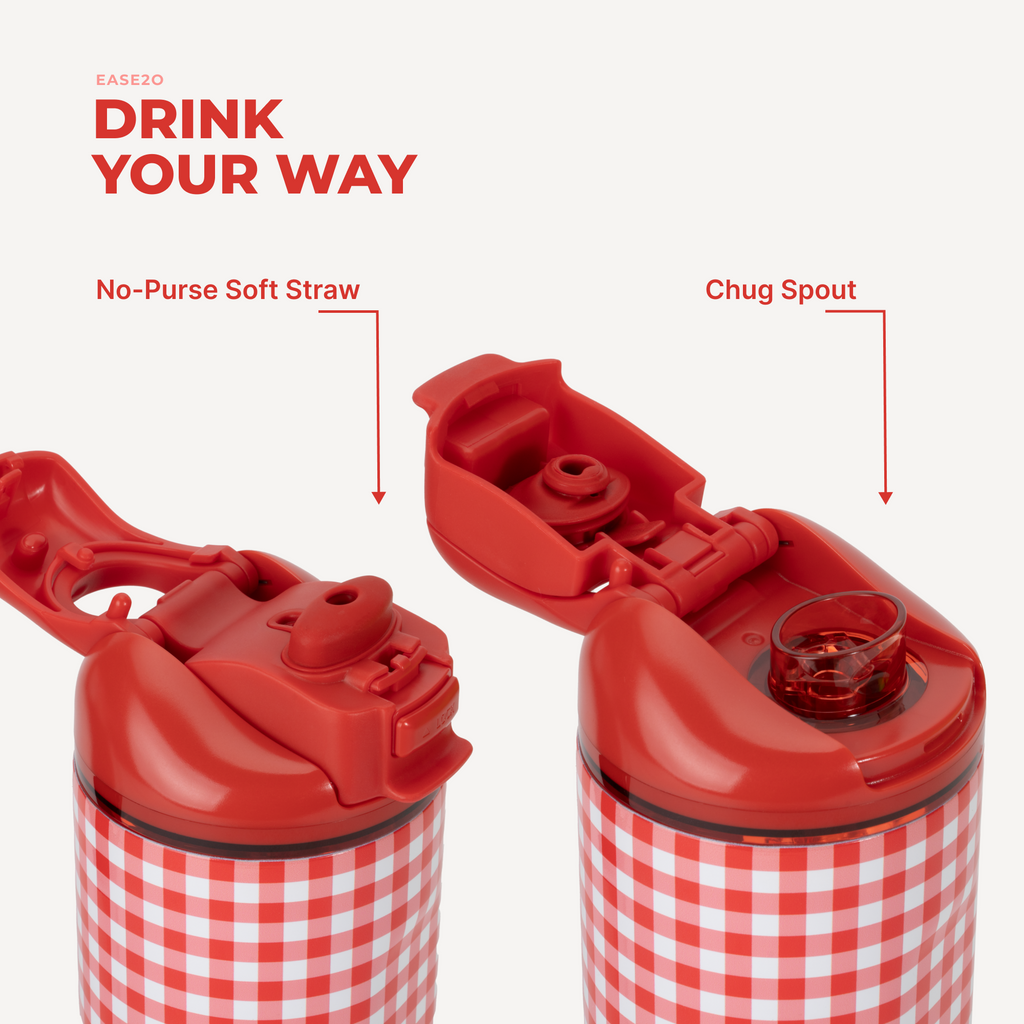 Ease2o 24oz - Summer Picnic